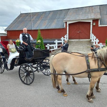 Hotell Eikerapen Gjestegard Aseral Fossdal Exteriör bild