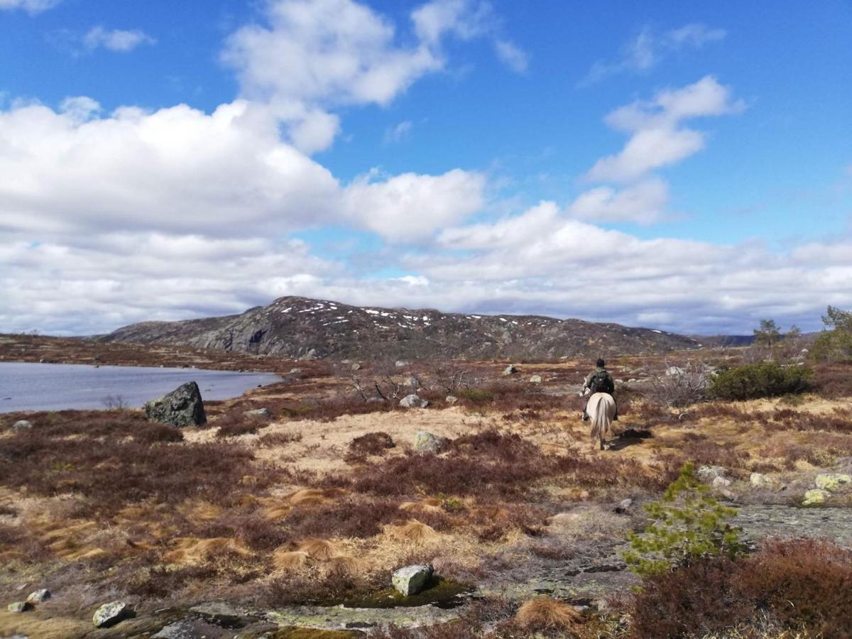 Hotell Eikerapen Gjestegard Aseral Fossdal Exteriör bild
