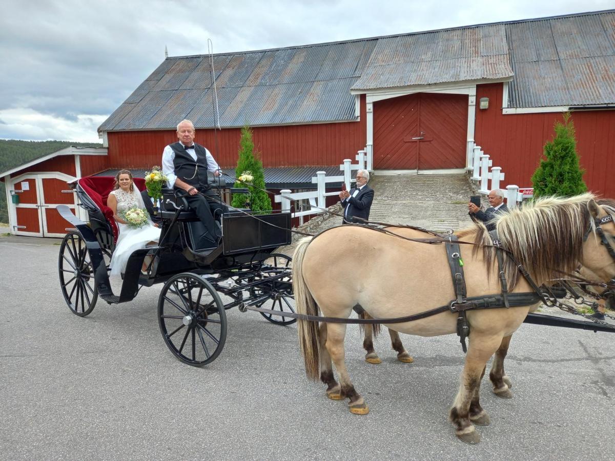 Hotell Eikerapen Gjestegard Aseral Fossdal Exteriör bild